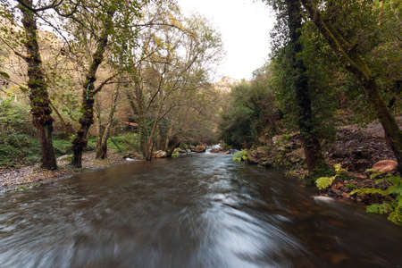 River Under Trees - Autumn IVの写真素材