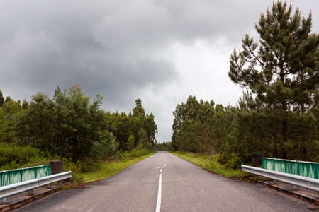 Secondary road through the woods, against cloudy skyの写真素材
