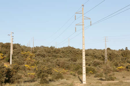 High Voltage Pylons Power Lines over Natureの写真素材
