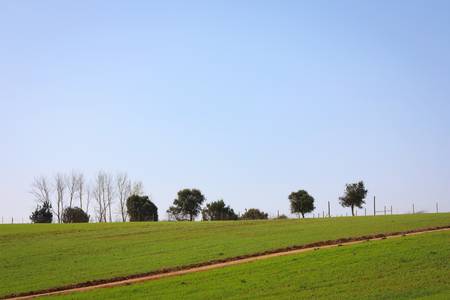 Blue sky over green hill field on Portugal の写真素材