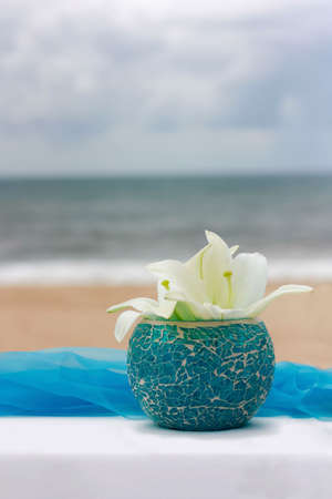 Flower on small pot with seashore in the backgroundの写真素材