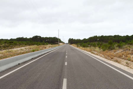 Empty freeway to woods on cloudy day