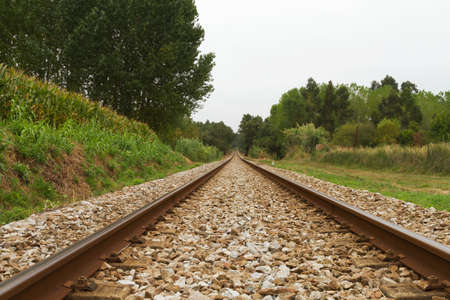 Empty Railway track trough woods on cloud dayの写真素材