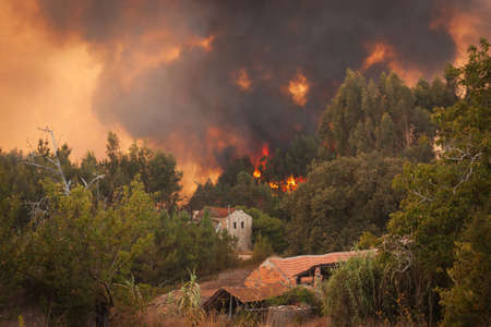 Forest Wild fire near houses on Portugal Summerの写真素材