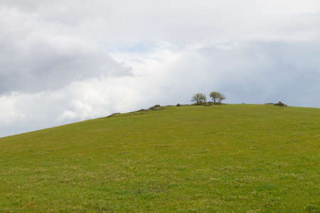 Green hill with some trees on top against cloudy sky
