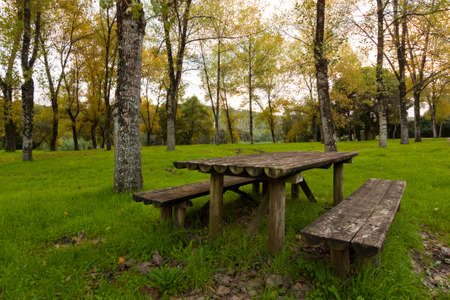 Wooden table and bench in a forest park 