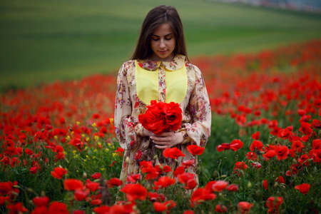 Sensual girl wearing in summer floral dress, seated in poppies field, holding a bouquet of flowers.の写真素材