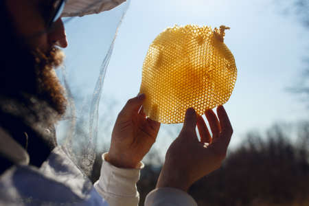 Close up of a beekeeper holds frame with honeycomb out of beehive. Horizontal outside shot.