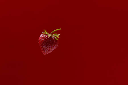Cherry isolated on red backgroundの写真素材