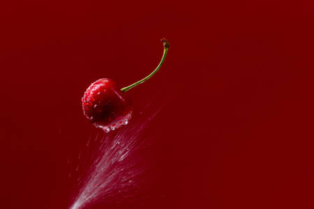 Closeup of a pair of cherries with stem, splashing with a spurt of water over red background. Copy space.の写真素材