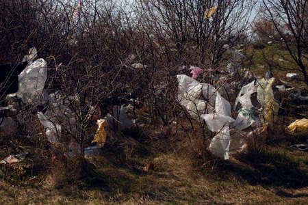 Plastic bags and garbages hanging in the branches of a tree and bushes. Concept about pollution of nature. Irresponsible people throw garbage in the field.のeditorial素材