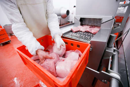 A worker holding a raw cuts of minced meat, introduced into an introductory washing in the meat...