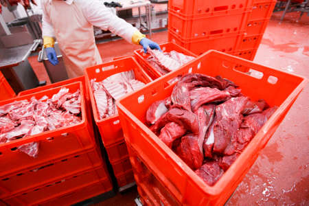 View of a many plastic red boxes with chopped fresh raw meat, stored in a meat factory, industry...