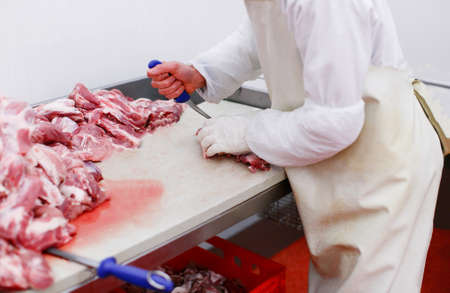 horzontal view. Cropped image of a worker in meat factory, chopped a fresh beef meat in pieces on work table, industry of processing food.の写真素材