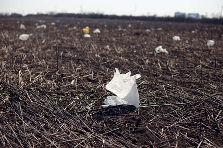 View of a garbage, in day light. Concept about ecology.