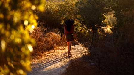 Rear view of a brunette young woman in the hat walking the beautiful forest road on the island Corsica, France.の写真素材