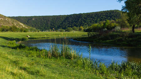 Horizontal view. River and the field on a sunny summer day.の写真素材