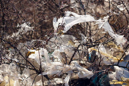 Closeup image of a garbage, plastic, bags and polyester spread and discarded in the dry grass in field, in day light. Concept about ecology. Horizontal view.の写真素材