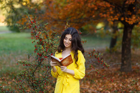 Young woman with long curly hair, in yellow dress reading a book in the park.の写真素材