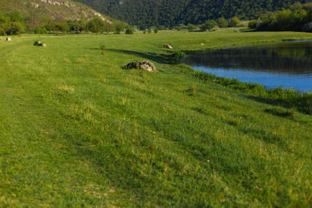 Beautiful river and the flowers field on a sunny summer day.の写真素材