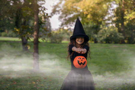 little girl in witch costume and black hat holding a pumpkin cauldron, standing against forest background. Fog effects.の写真素材