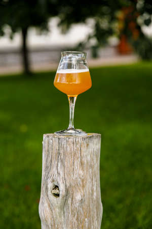 pint beer lager on a wooden log in the pub beer garden pub. Vertical view.の写真素材