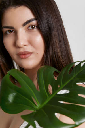 Closeup portrait of attractive woman has green leaf cover face with perfect healthy glow skin, looking at camera.の写真素材