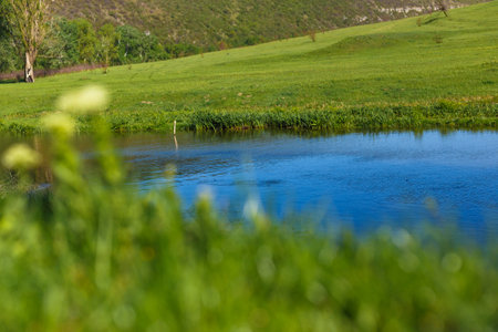 Beautiful nature of a summer landscape with river and blue sky.の写真素材