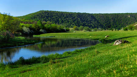 Image of a beautiful river and the flowers field on a sunny summer day. Horizontal view.の写真素材