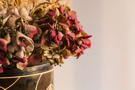 Closeup of flowers with copy spaceの写真素材