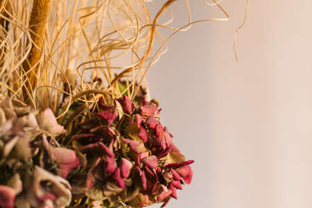 Closeup of flowers with copy spaceの写真素材