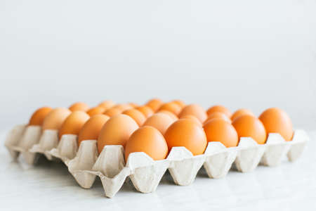 Raw and fresh eggs. Egg carton with copy spaceの写真素材