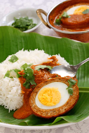 nargisi kofta curry and rice, indian cuisineの写真素材