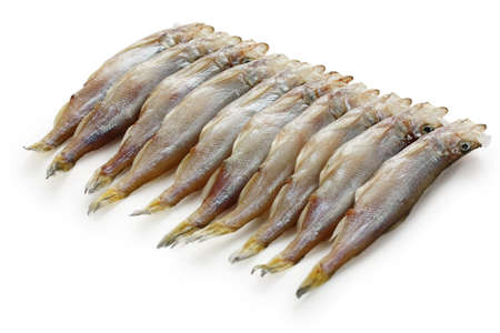 shishamo, japanese smelt with roeの写真素材