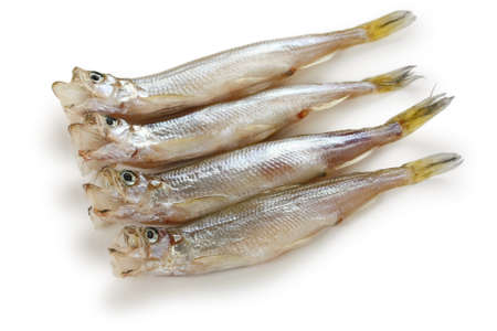 shishamo, japanese smelt with roeの写真素材