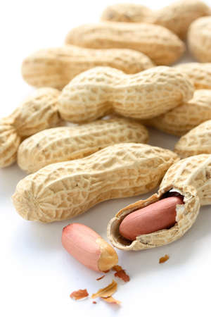 peanuts on a white backgroundの写真素材