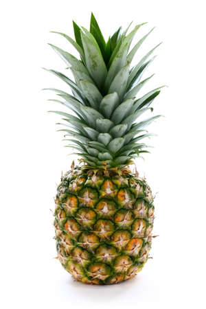 pineappleの写真素材