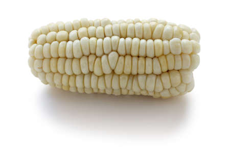 choclo, giant white corn, peruvian food の写真素材