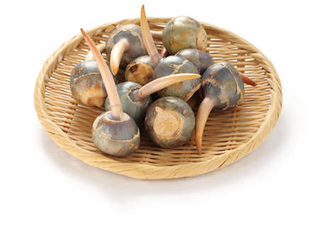 threeleaf arrowhead, kuwai, japanese vegetableの写真素材