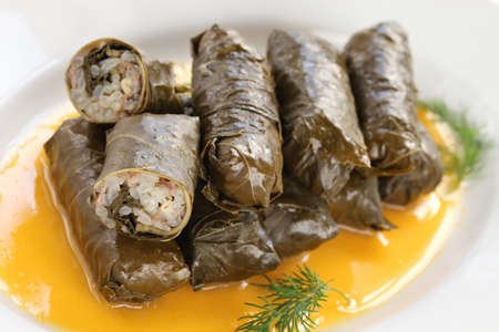 dolma, stuffed grape leaves with egg lemon sauce, turkish and greek cuisine