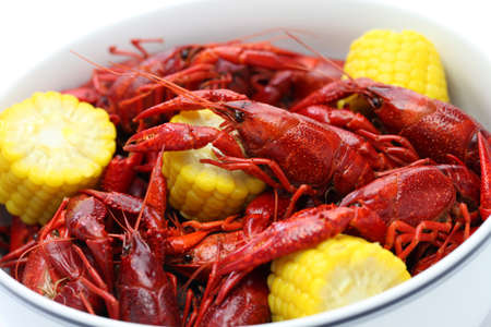 boiled crawfish, clayfish partyの写真素材