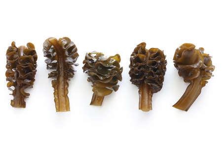 japanese seaweed, mekabu, wakame root isolated on white background