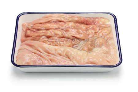 abomasum rennetbag reed tripe the fourth stomach of a cow in butcher tray isolated on white backgroundの写真素材