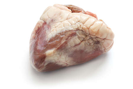 sheep heart, haggis ingredient isolated on white の写真素材