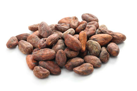 raw cacao cocoa beans on white backgroundの写真素材