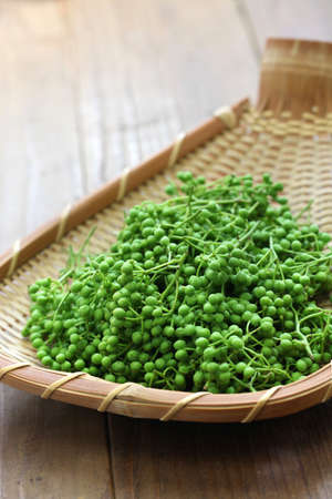 fresh green sansho japanese pepperの写真素材