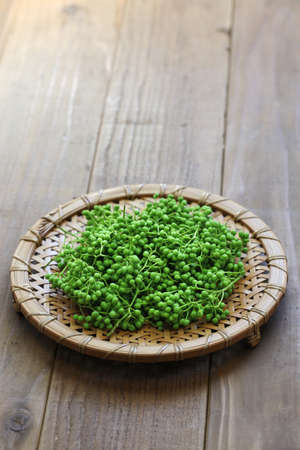 fresh green sansho japanese pepperの写真素材