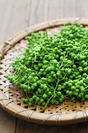 fresh green sansho japanese pepperの写真素材