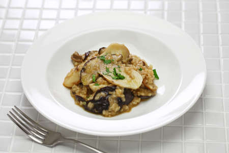 fresh porcini mushroom risottoの写真素材