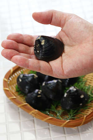 big size japanese basket clams on hand, food ingredients